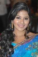 Anjali Saree Photos at SVSC
